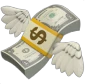 cash_flying